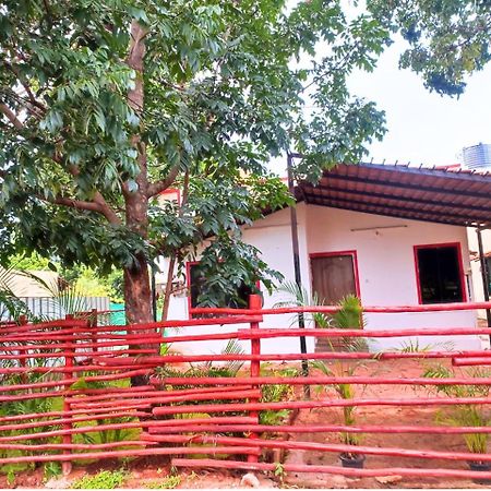 Golden Magnolia Homestay Bangalore Bagian luar foto